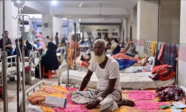 Bệnh nhân mắc sốt xuất huyết điều trị tại bệnh viện ở Dhaka, Bangladesh. Ảnh tư liệu: AFP/TTXVN (Không được phép chia sẻ và sử dụng bởi bên thứ ba)