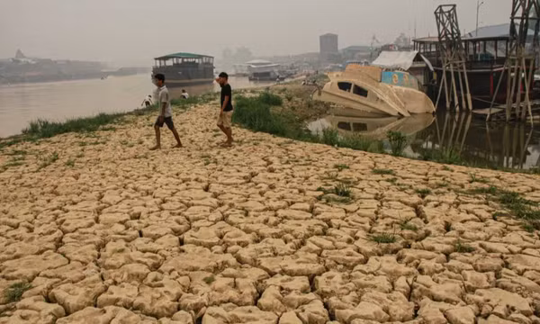 Dòng sông cạn khô tại Palangkaraya ở trung tâm Kalimantan. Hạn hán do hiện tượng El Nino mạnh bất thường năm nay đã làm giảm mực nước các con sông ở phần đảo Borneo thuộc Indonesia, gây gián đoạn việc vận chuyển các mặt hàng như than đá và dầu cọ. Ảnh: Antara