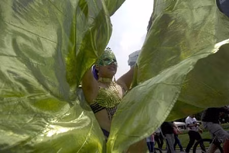Lễ hội Carnival ở Mêhicô ảnh 1