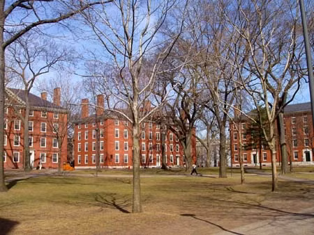 Harvard vẫn là trường đại học tốt nhất thế giới ảnh 1