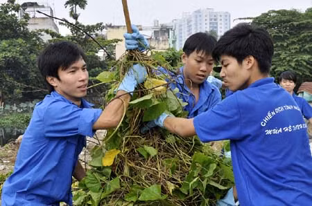 Thanh niên xung phong bảo vệ môi trường ảnh 1