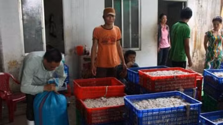 Tiêu hủy 8 tấn ruột lợn không rõ nguồn gốc ảnh 1
