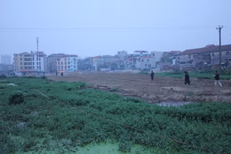 Không có chuyện hàng trăm mộ ở Tứ Kỳ bị san lấp ảnh 1