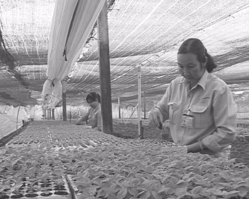 Người đảng viên ưu tú trưởng thành từ công nhân ảnh 1
