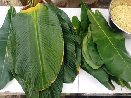 Trường Sa náo nức đón Tết sớm ảnh 8