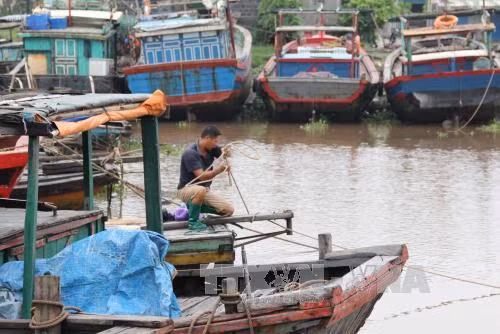 Đảm bảo an toàn cho các tuyến đê trước bão số 3 ảnh 1