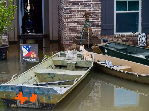 Mưa lũ ngập trắng Louisiana, Mỹ ban bố tình trạng thảm hoạ ảnh 6