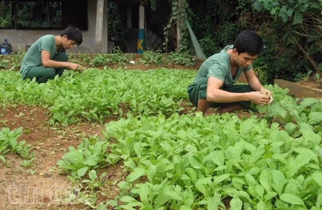 Tết ấm áp của chiến sĩ đảo tiền tiêu ảnh 3