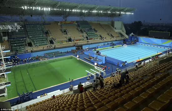 Nước bể bơi Olympic đổi màu xanh lục đầy vẩn đục ảnh 1