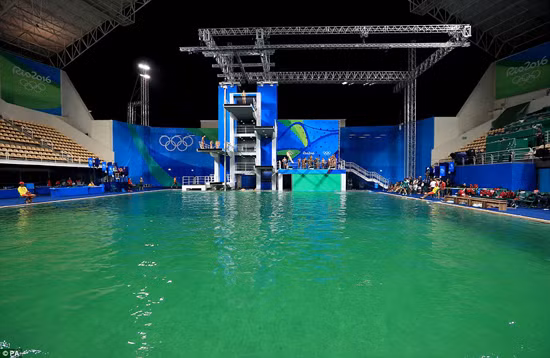 Nước bể bơi Olympic đổi màu xanh lục đầy vẩn đục ảnh 2