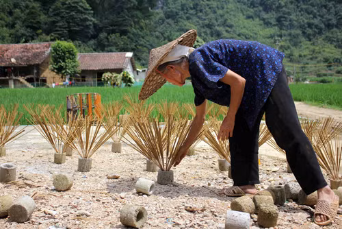 Nghề làm hương của người Nùng ảnh 4