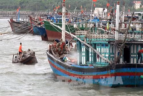 Hải Phòng sơ tán hơn 11.000 người tránh bão ảnh 1