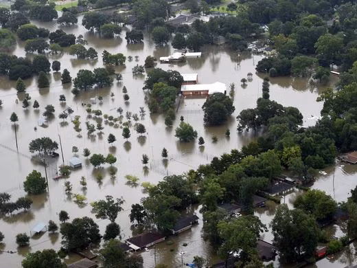 Mưa lũ ngập trắng Louisiana, Mỹ ban bố tình trạng thảm hoạ ảnh 1