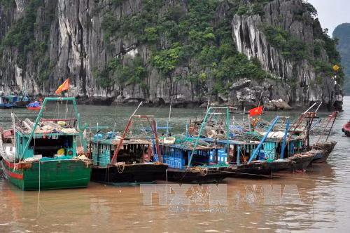 Không được chủ quan, bị động trong ứng phó bão số 3 ảnh 1