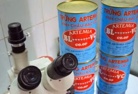 Giảm thuế nhập trứng Artemia để khuyến khích sản xuất ảnh 1