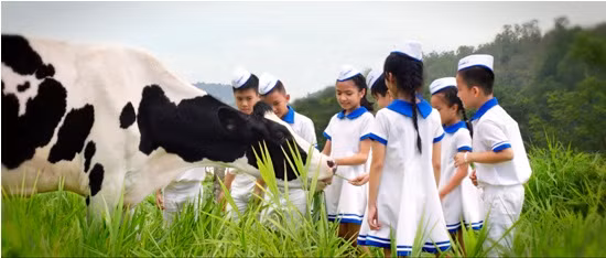 Rạng rỡ "Vươn cao Việt Nam" ảnh 4
