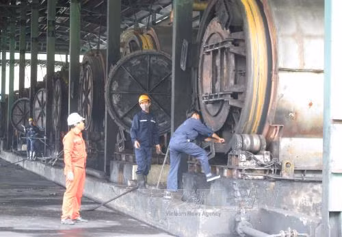 Không có chuyện Công ty Hạ Long (Ninh Bình) gây ô nhiễm ảnh 2