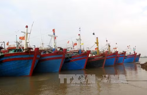Khẩn trương chuẩn bị phương án phòng chống bão số 3 ảnh 1