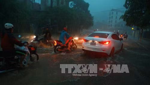 Hải Phòng sơ tán hơn 11.000 người tránh bão ảnh 2