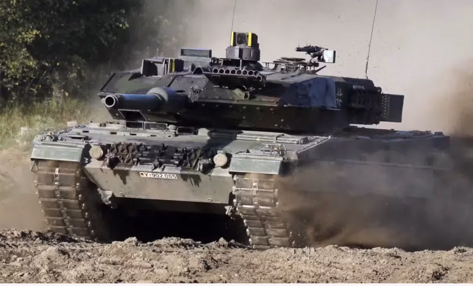leopard.jpg
