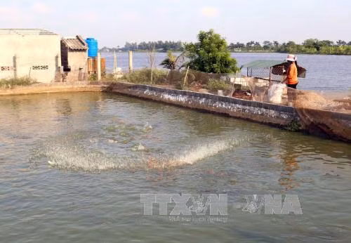 Bảo lãnh tín dụng sau đầu tư của Quỹ Hỗ trợ phát triển hợp tác xã ảnh 1