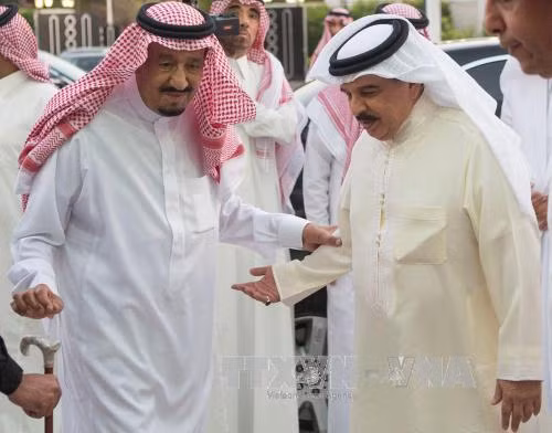 Iran gọi việc Vua Saudi Arabia phế Thái tử là 'đảo chính mềm' ảnh 1