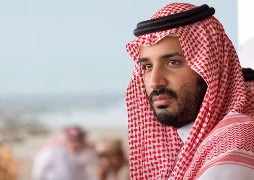 Chân dung tân Thái tử Saudi Arabia ảnh 1