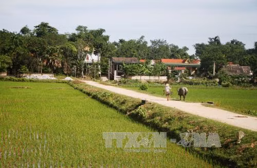 Giao dự toán bổ sung thực hiện Chương trình xây dựng nông thôn mới ảnh 1