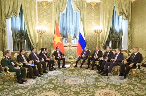 Chủ tịch nước Trần Đại Quang hội đàm với Tổng thống LB Nga Vladimir Putin ảnh 3