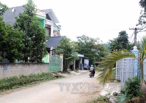 Chung sức xây dựng nông thôn mới: Bài học thành công ở Đức Ninh ảnh 1