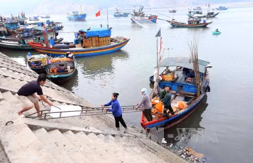 Hà Tĩnh cơ bản hoàn tất thủ tục chi trả bồi thường sự cố môi trường biển ảnh 1
