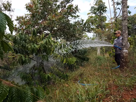 Nâng cao hiệu quả các công trình thủy lợi ở Tây Nguyên ảnh 2