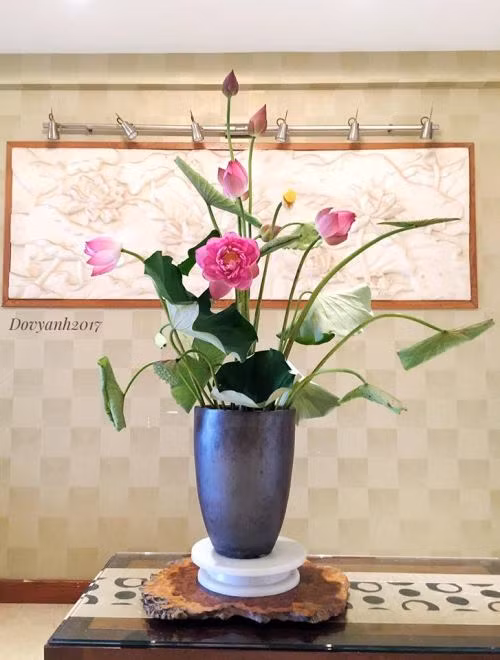 Tuyệt chiêu cắm hoa sen đẹp như mơ của 'soái ca' Hà thành ảnh 3