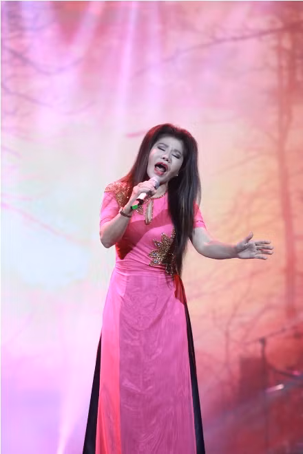 Chế Linh phiêu cùng hai con trai trên sân khấu ảnh 8