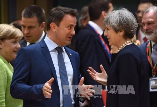 Anh đề xuất đảm bảo quyền lợi 3 triệu công dân EU hậu Brexit ảnh 1