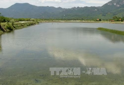 Nỗ lực ứng phó với tác động của biến đổi khí hậu ảnh 2