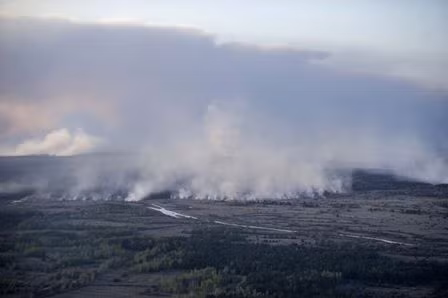 Khống chế cháy rừng quanh nhà máy Chernobyl ảnh 3