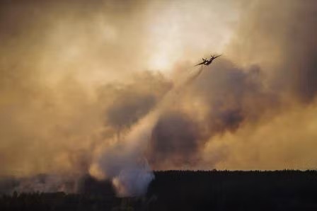 Khống chế cháy rừng quanh nhà máy Chernobyl ảnh 1