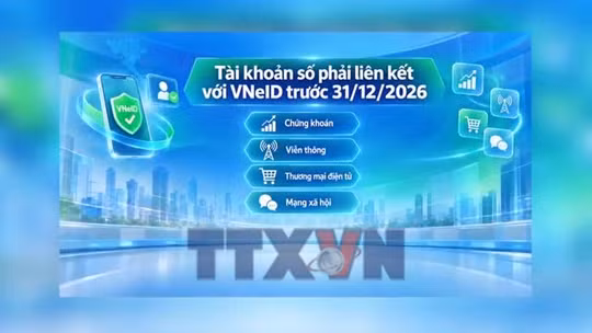 Liên kết tài khoản chứng khoán với VneID như thế nào?