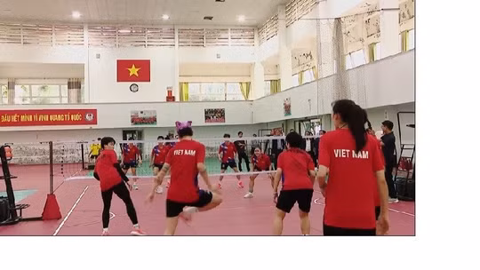 Thách thức và động lực của thể thao Việt Nam tại ASIAD 20