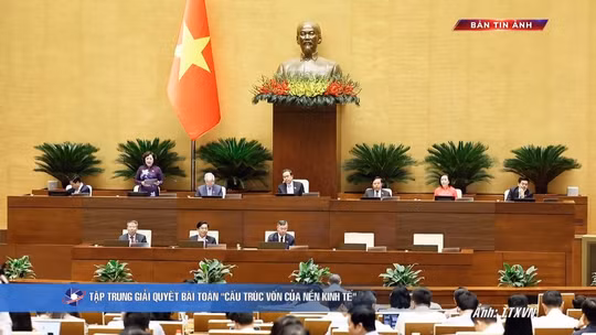 Bản tin ảnh chiều 31/10