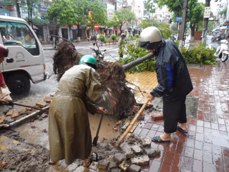 Mưa bão gây thiệt hại tại nhiều tỉnh ảnh 2