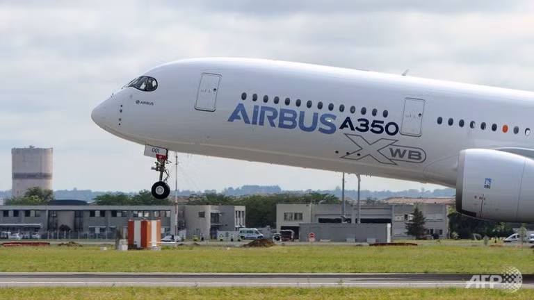 Thị trường châu Á - thuốc thử cho Boeing và Airbus ảnh 2