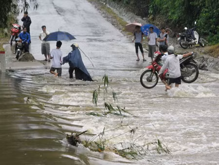 3 người chết và mất tích, hàng nghìn ha lúa ngập sau bão ảnh 2