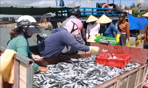Đầu tư hạ tầng nghề cá tăng sức mạnh kinh tế biển