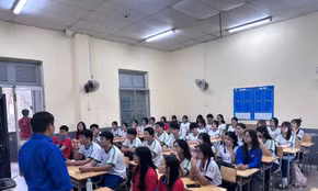 TP Hồ Chí Minh chính thức phê duyệt phương án sắp xếp trường công
