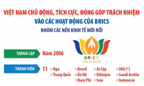 Việt Nam chủ động, tích cực, đóng góp trách nhiệm vào các hoạt động của BRICS