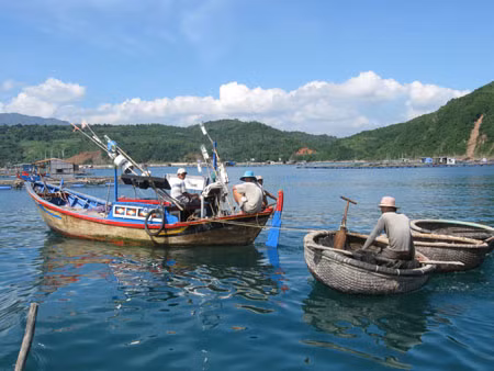 2 khu tránh trú bão ở Phú Yên chưa hiệu quả ảnh 1