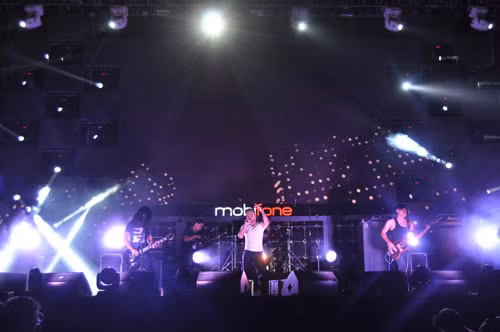Cấp thẻ hành nghề - giải pháp 'dẹp loạn' showbiz ảnh 1