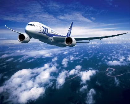 Hãng hàng không ANA chính thức khai thác đường bay mới tới Hà Nội ảnh 1